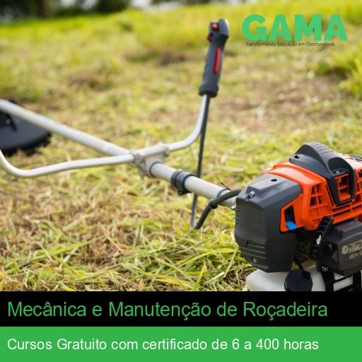 Mecânica e Manutenção de Roçadeira